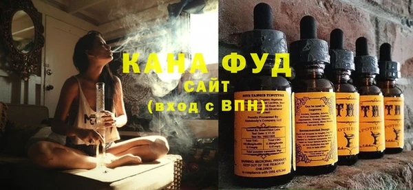 молекула духа Верхний Тагил