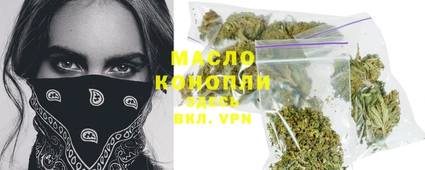 молекула духа Верхний Тагил